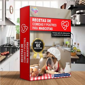 500 receta comida para perros creaya agencia caja pequeña
