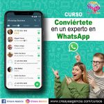 caja experto en WhatsApp creaya agencia caja pequeña