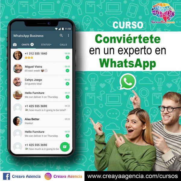 caja experto en WhatsApp creaya agencia caja pequeña