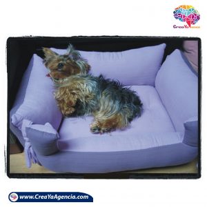 copa para perros CreaYa Agencia 10