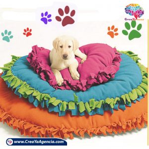 copa para perros CreaYa Agencia 11