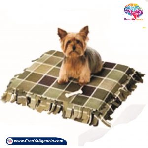 copa para perros CreaYa Agencia 12