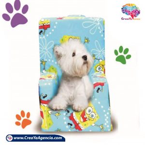 copa para perros CreaYa Agencia 13