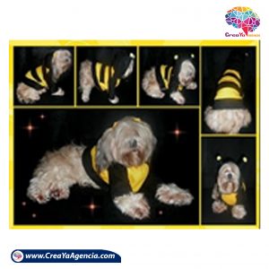 copa para perros CreaYa Agencia 18