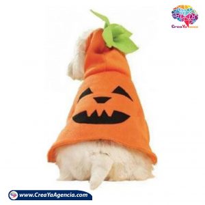 copa para perros CreaYa Agencia 6